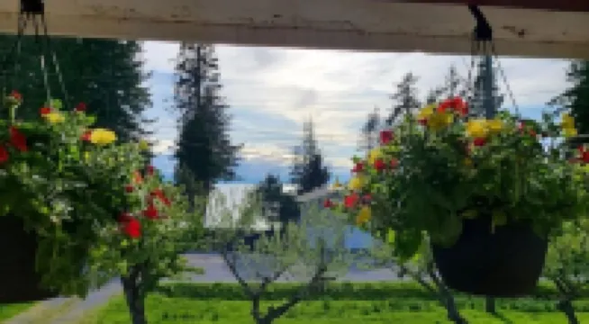 Escape to SEASCAPES on Texada Island!!