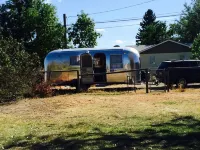 Book Early!  Accepting Reservations for 2026 Summer! Visit Yellowstone!