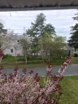 Charming Cape House in Bourne, 10 minutes to Beaches