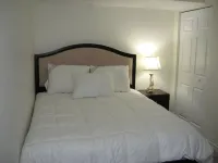 Beautiful 2-bedroom Guest Home in Guelph - piscine