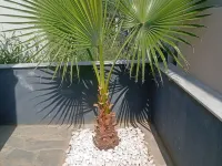 Nea Vrasna Sun House Hotels in Volvi