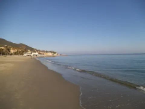 Hotel Ariston & Apartments Hotels in Varazze