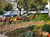 Edgewater Resort - parking