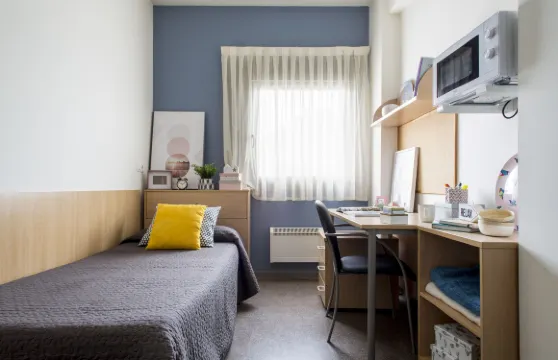 雷薩阿斯布爾加斯大學宿舍 - REAJ附屬中心 - 校園住宿