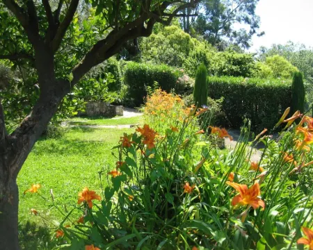 Mas de Vence - Hotel-Restaurant Hotels in Vence