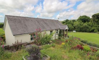 Blaenffynnon Bach