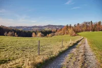 Ferienwohnungen Wald Und Wiese Hotels in Breitenberg