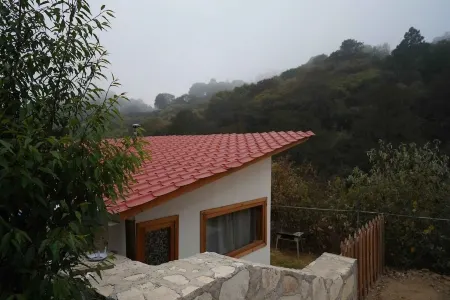 Cabaña El Tepozan Отели в г. Минераль дель Монте