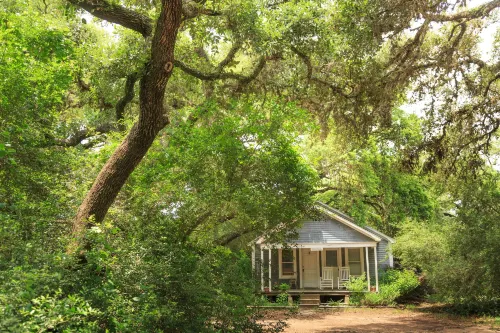BlissWood B&B Ranch