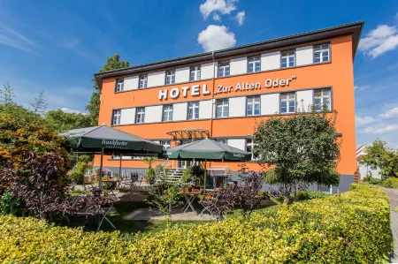 Hotel Zur Alten Oder- Frankfurt-Oder Отели в г. Лебус