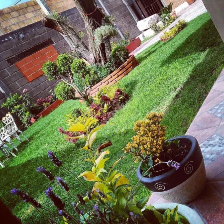 El Sueño de Quetzalcoatl