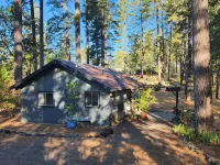 Forest Cottage Retreat