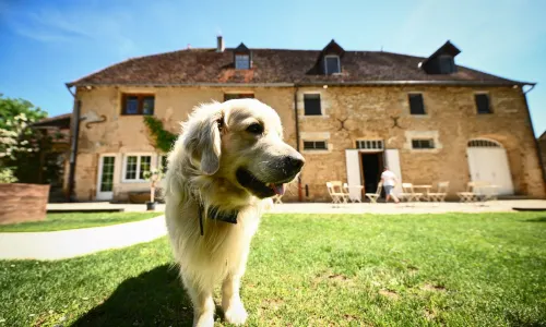 Domaine de Bersaillin