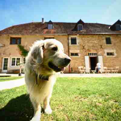 Domaine de Bersaillin Hotel Exterior