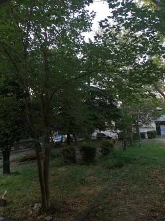 Yellow Apartment Отели рядом с достопримечательностью «Собор Воскресения Христова»