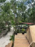 Cozumel Glamping Hotels near Chankanaab Beach Adventure Park