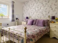 Golygfa o'r Castell - Castle Views