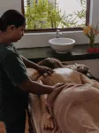 Palm Garden Ayurveda Resort - spa
