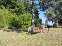 Ranocchio house, perfect retreat for a relaxing stay just a few steps from Rome Hotels near Il Castello di Riano