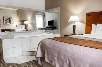 Comfort Inn & Suites University South Hotels in Ann Arbor