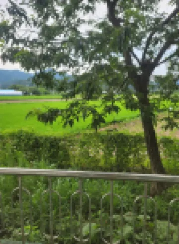 Jeryeong Forest Pension