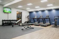 Hampton Inn Gonzales - Gym