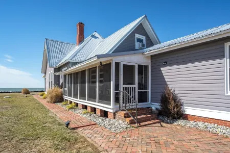 Home of the Terrapin King