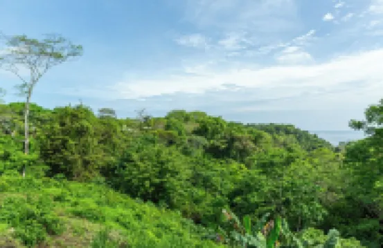 Elegant Ocean View Villa Serena in Hermosa Hills