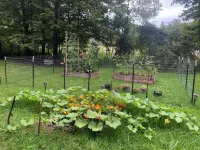 Charming 2-bedroom cabin in enchanting Gilboa with WiFi