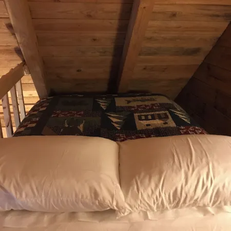 Romantic cabin on horse farm just 6 miles away from historic downtown Dahlonega,