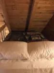 Romantic cabin on horse farm just 6 miles away from historic downtown Dahlonega,