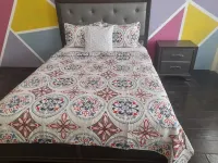 Tropical Suites- 2 bedroom Apartment Hotel a Cafeiere