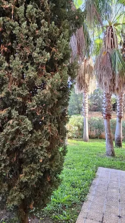 SEASIDE APARTMENT WITH POOL Отели в г. Лингуиццетта