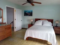 Kayak, Snorkel, Dive Waterfront 2BR 2BA  A/CBeautiful Quiet Caribe bight w/pool