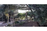 Traditional country house with private pool