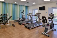 Holiday Inn Express & Suites SOUTHGATE - DETROIT AREA by IHG - Gym