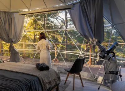 Tiny Pines Glamping Các khách sạn ở 