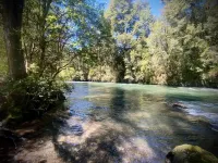 HuellaBlanca Domos Hotels in Curacautin