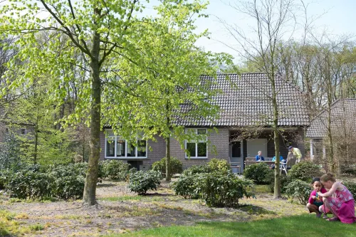 Villa in Netherlands with Sauna & Comfort