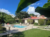 Hôtel les Bananiers - piscina