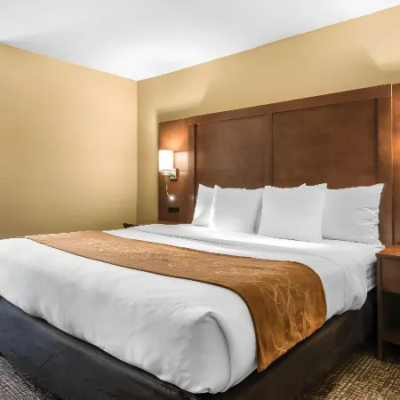 Comfort Suites Baymeadows Near Butler Blvd