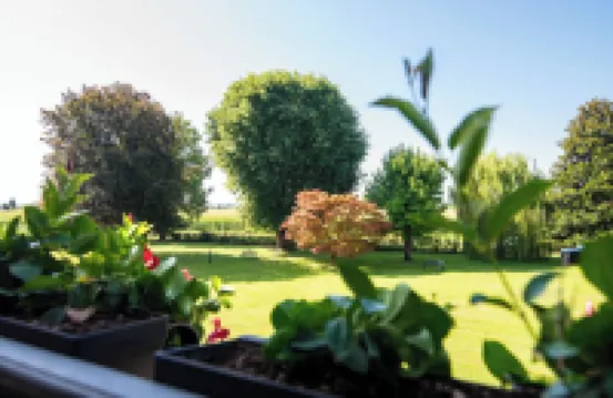 鄉村奢華柳樹民宿