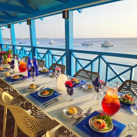 Divi Flamingo Beach Resort & Casino