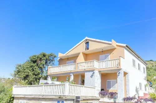 Apartments Pera - Homestays