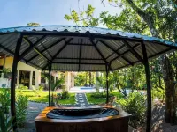 New Pavones Beach Resort, Yoga Deck, Pickleball Court, Pool, Gym, & Ice Plunge Hotels in Pavones