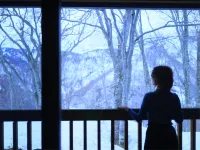 Hakkoda Hotel - Mountain View