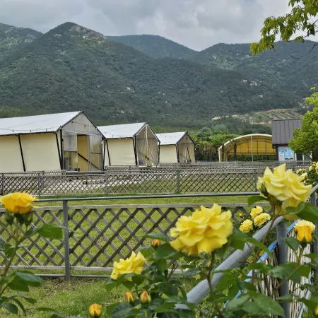 Jangheung Taengdaengi Glamping Отели в г. Чанхын