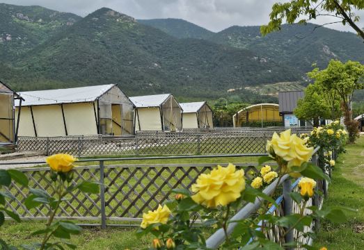 글램핑 야외 시설