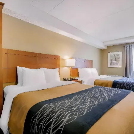 Comfort Inn