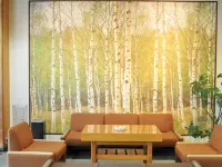 Date Prince Hotel Hotels in Date